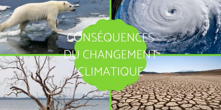 Atténuer les répercussions du changement climatique 2 - Le Progrès Egyptien Atténuer les répercussions du changement climatique 1 - Le Progrès Egyptien