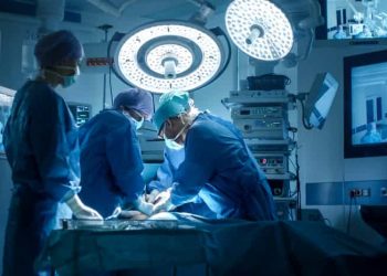 La greffe d’un œil complet connecté au système nerveux central 