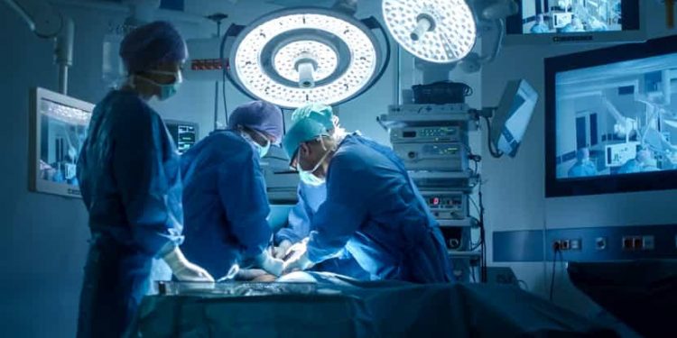 La greffe d’un œil complet connecté au système nerveux central 2 - Le Progrès Egyptien La greffe d’un œil complet connecté au système nerveux central 1 - Le Progrès Egyptien