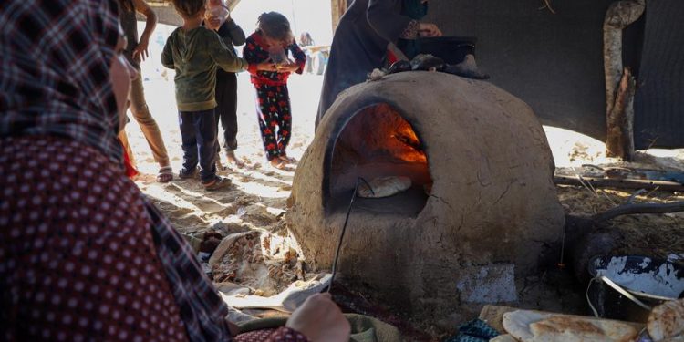 L'Egypte et l’UE rejettent le déplacement des habitants de Gaza 1 - Le Progrès Egyptien GAZA, 14 novembre (Xinhua) -- Des Palestiniens déplacés préparent un repas dans un abri temporaire situé dans la ville de Khan Younès, dans le sud de la bande de Gaza, le 13 novembre 2023. Un conflit meurtrier entre le Hamas et Israël depuis le 7 octobre a plongé plus de 2,3 millions de Palestiniens à Gaza dans une crise humanitaire. (Xinhua/Rizek Abdeljawad)