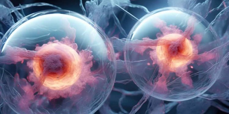 Régénérer un cœur en inhibant un gène  1 - Le Progrès Egyptien