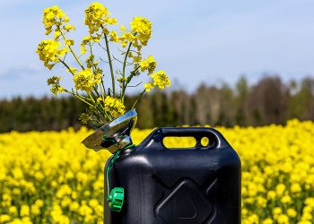 Vers des carburants plus écologiques