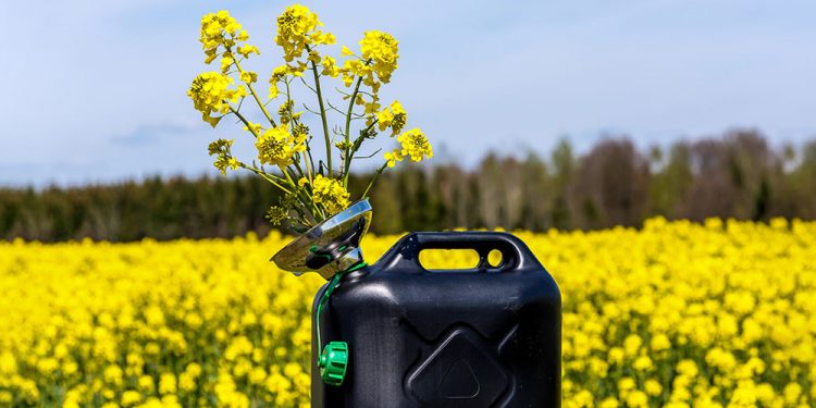 Vers des carburants plus écologiques 1 - Le Progrès Egyptien