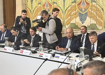 Choucri confirme le refus international catégorique des tentatives visant à déplacer de force les Palestiniens de leurs terres