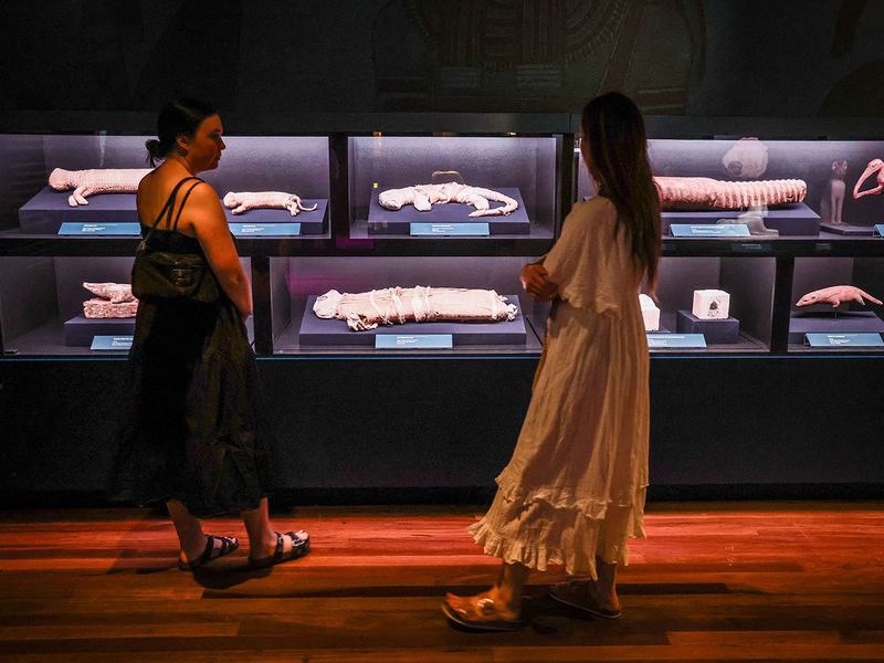 L'expo ''Ramsès et l'Or des Pharaons'' finalement au Musée de Sydney 16 - Le Progrès Egyptien L'expo ''Ramsès et l'Or des Pharaons'' finalement au Musée de Sydney 15 - Le Progrès Egyptien