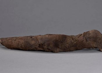 Récupération d’artefacts de la Nouvelle-Zélande