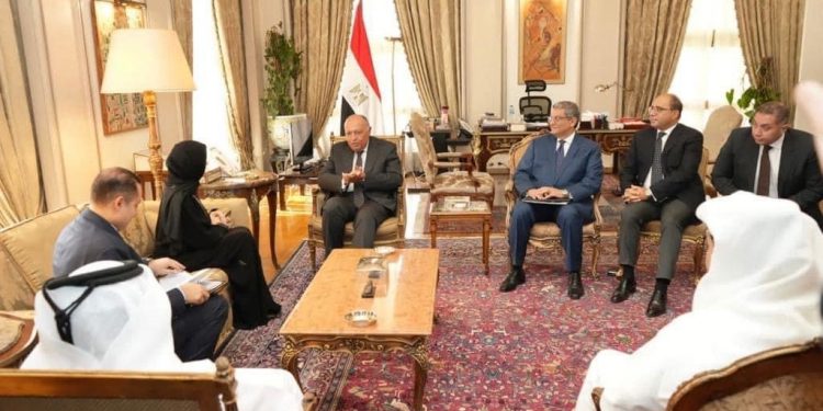 AE: Nécessité d'un cessez-le-feu à Gaza  1 - Le Progrès Egyptien