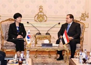 Début des meetings de la campagne du candidat Abdel Fattah Al-Sissi