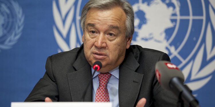 Le SG de l'ONU fait l’éloge des gouvernements égyptien, qatari et américain pour avoir facilité l'aboutissement à l'accord de trêve dans Gaza 2 - Le Progrès Egyptien Le SG de l'ONU fait l’éloge des gouvernements égyptien, qatari et américain pour avoir facilité l'aboutissement à l'accord de trêve dans Gaza 1 - Le Progrès Egyptien
