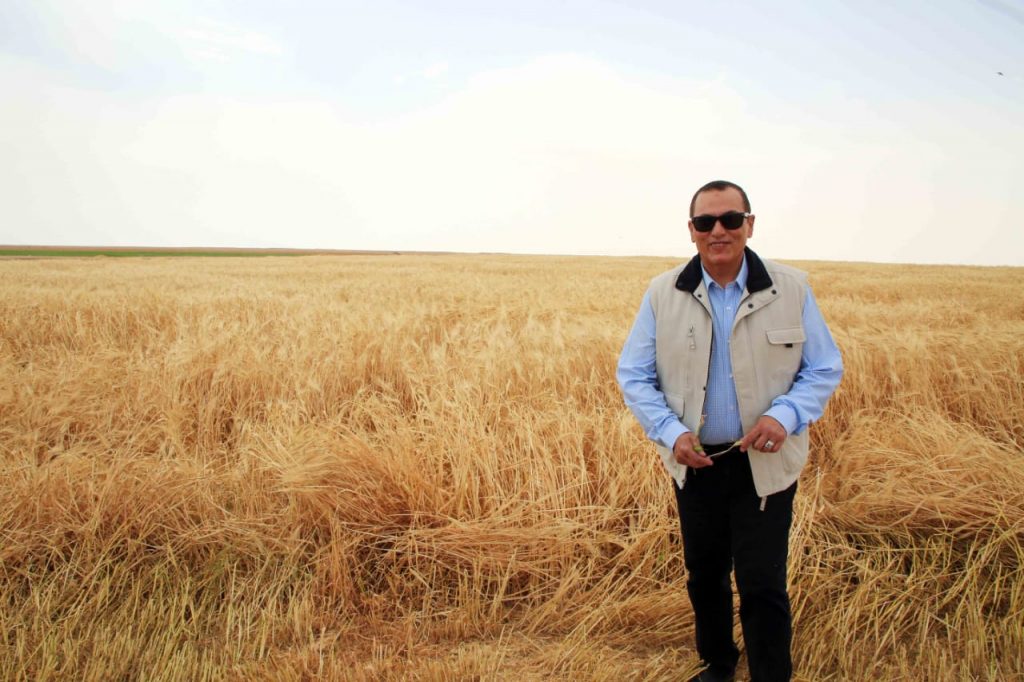 La Nouvelle campagne égyptienne lance une initiative agricole prometteuse 14 - Le Progrès Egyptien La Nouvelle campagne égyptienne lance une initiative agricole prometteuse 13 - Le Progrès Egyptien