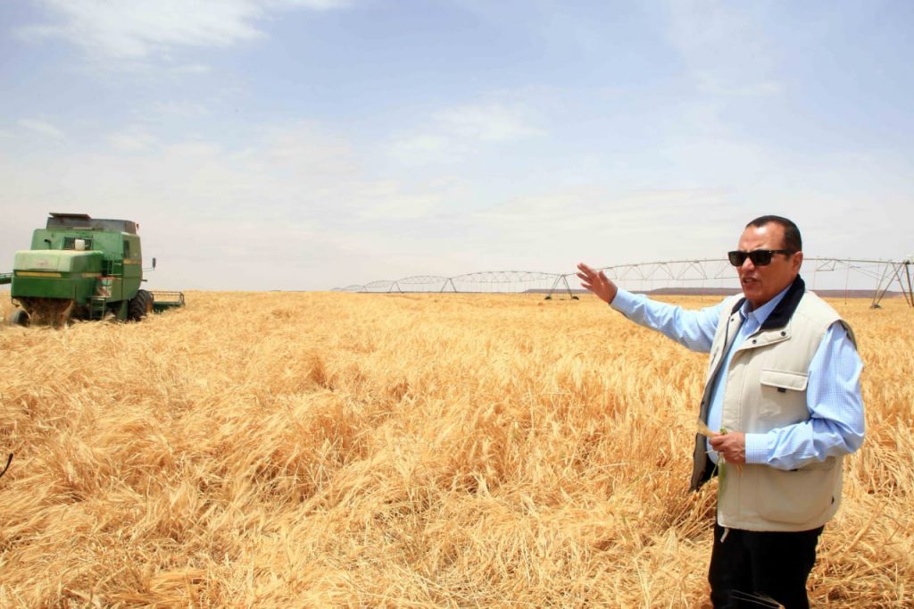 La Nouvelle campagne égyptienne lance une initiative agricole prometteuse 20 - Le Progrès Egyptien La Nouvelle campagne égyptienne lance une initiative agricole prometteuse 19 - Le Progrès Egyptien