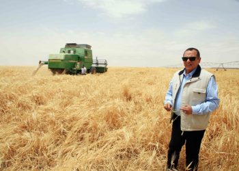 La Nouvelle campagne égyptienne lance une initiative agricole prometteuse