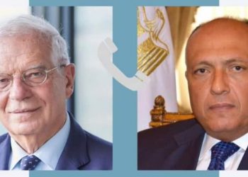 Entretien téléphonique Choucri et Borell