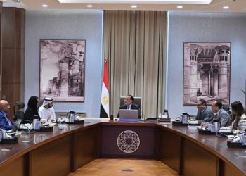Madbouli salue les nouveaux investissements émiratis