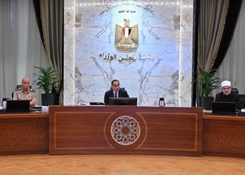 Madbouli examine nombre de dossiers importants