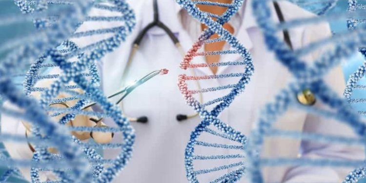 Un traitement révolutionnaire contre la drépanocytose autorisé 1 - Le Progrès Egyptien