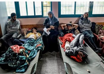 Gaza : Des familles entières “disparues” et des mères dévastées