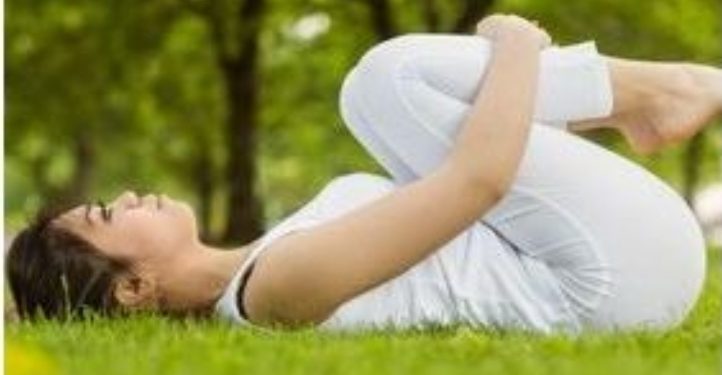 La charrue : Trapèzes et cervicales 2 - Le Progrès Egyptien La charrue : Trapèzes et cervicales 1 - Le Progrès Egyptien