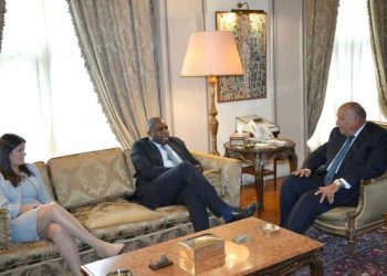 Choucri : Intensifier les efforts internationaux pour faire cesser la guerre à Gaza