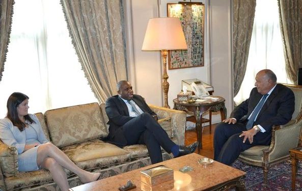 Choucri : Intensifier les efforts internationaux pour faire cesser la guerre à Gaza 1 - Le Progrès Egyptien