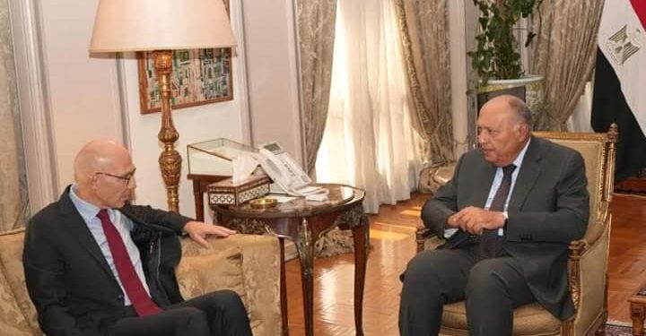 Choucri reçoit le haut-commissaire de l’ONU aux DH 1 - Le Progrès Egyptien