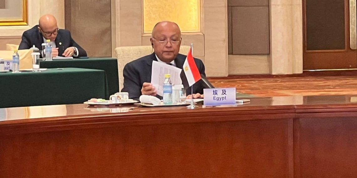  Le déplacement des Palestiniens de Gaza, une ligne rouge 1 - Le Progrès Egyptien