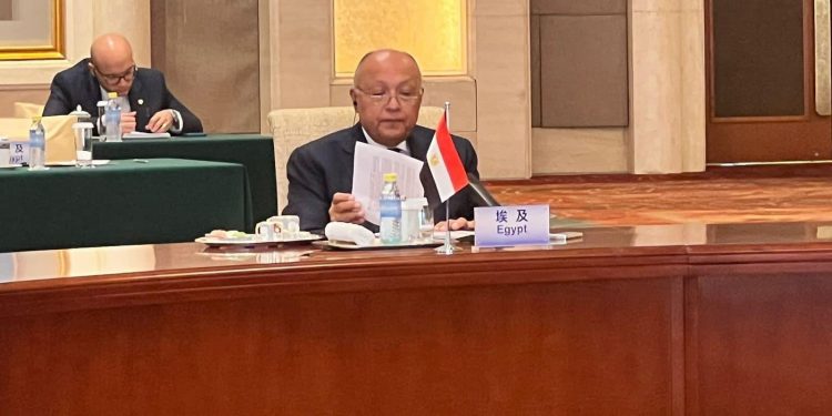  Le déplacement des Palestiniens de Gaza, une ligne rouge 1 - Le Progrès Egyptien