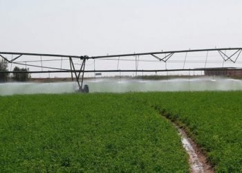 Au sinaï, le développement en point de mire