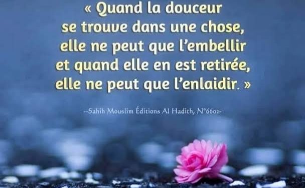 Attachez vous à la douceur 2 - Le Progrès Egyptien Attachez vous à la douceur 1 - Le Progrès Egyptien