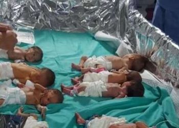 Al-Sissi enjoint de transporter les nouveaux-nés de Gaza vers l’Egypte