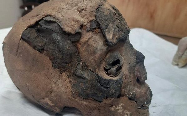 AE : Des pièces archéologiques récupérées de la Nouvelle-Zélande 2 - Le Progrès Egyptien AE : Des pièces archéologiques récupérées de la Nouvelle-Zélande 1 - Le Progrès Egyptien