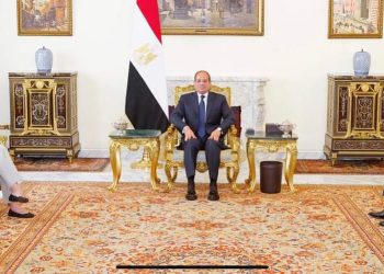 Al-Sissi exprime la profonde préoccupation de l’Égypte face à la détérioration des conditions humanitaires à Gaza