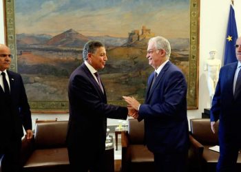 Egypte : La solution à deux États, seul moyen de mettre fin au conflit palestino-israélien