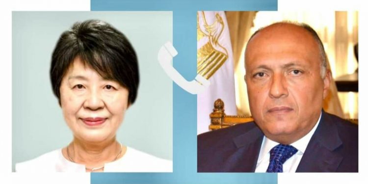 L'Egypte affirme au Japon son refus catégorique de toute tentative de déplacer les Palestiniens 1 - Le Progrès Egyptien