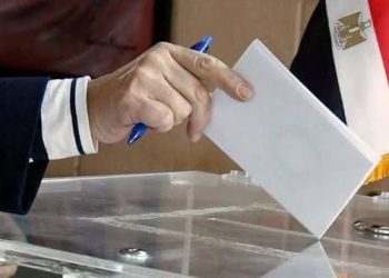 Présidentielle 2024 : La diaspora se prépare au vote