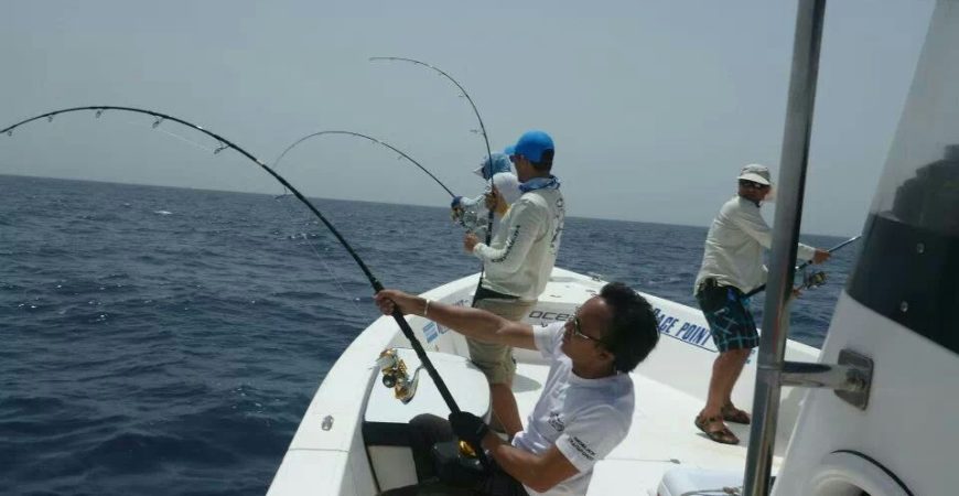 Homme : Amitié et activités  3 - Le Progrès Egyptien