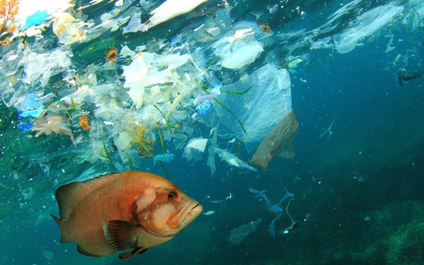 L'équivalent d'un camion poubelle de plastique rejeté chaque minute dans les océans 2 - Le Progrès Egyptien L'équivalent d'un camion poubelle de plastique rejeté chaque minute dans les océans 1 - Le Progrès Egyptien