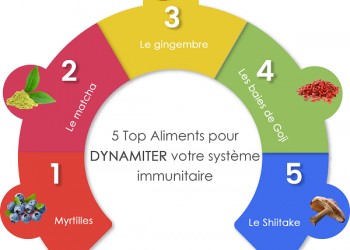 Les ennemis de votre système immunitaire