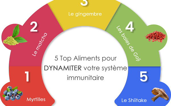 Les ennemis de votre système immunitaire 1 - Le Progrès Egyptien
