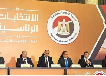 Présidentielle 2024 : Des observateurs internationaux saluent les efforts de l’ANE