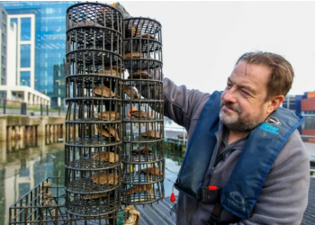 Iowa : Dans un mois, Trump face au jugement des électeurs républicains 