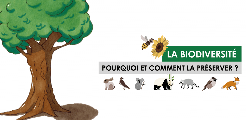 Biodiversité : Ce mot en vogue qui mobilise individus et communautés ... 5 - Le Progrès Egyptien