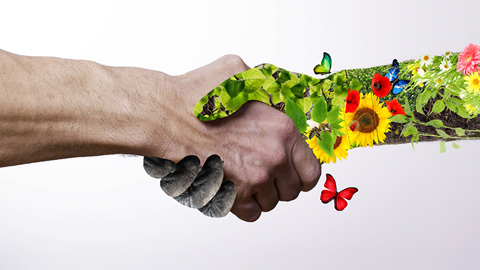 Biodiversité : Ce mot en vogue qui mobilise individus et communautés ... 3 - Le Progrès Egyptien