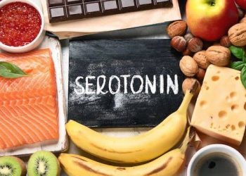 Comment les aliments affectent l’humeur et le comportement