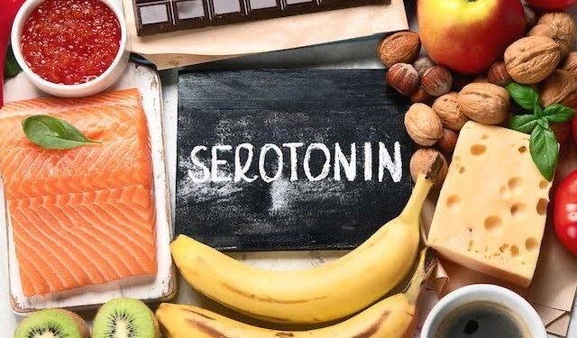 Comment les aliments affectent l’humeur et le comportement 2 - Le Progrès Egyptien Comment les aliments affectent l’humeur et le comportement 1 - Le Progrès Egyptien