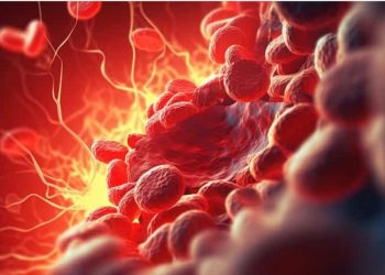 Rôle crucial du microbiote sur les maladies cardiovasculaires