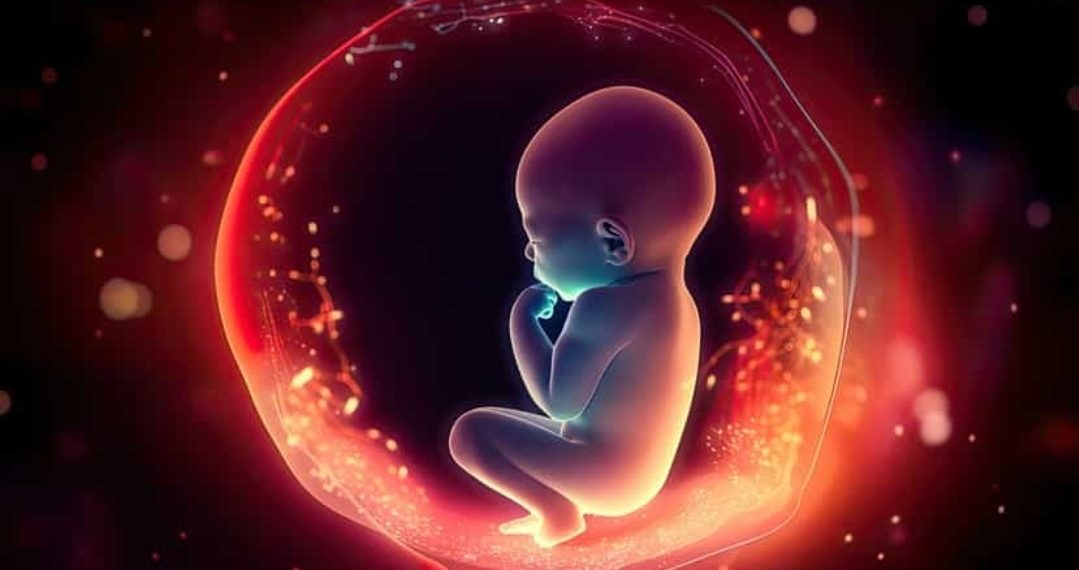 Le microbiote de la mère peut influencer le développement du fœtus 2 - Le Progrès Egyptien Le microbiote de la mère peut influencer le développement du fœtus 1 - Le Progrès Egyptien
