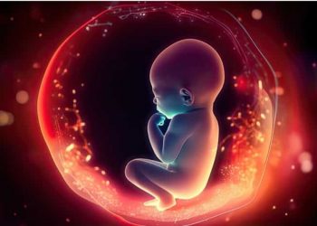 Le microbiote de la mère peut influencer le développement du fœtus