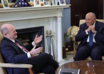 Choucri : La priorité est de faire pression en faveur d’un cessez-le-feu à Gaza