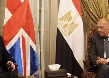 Choucri : Il est nécessaire de remédier à la situation critique à Gaza